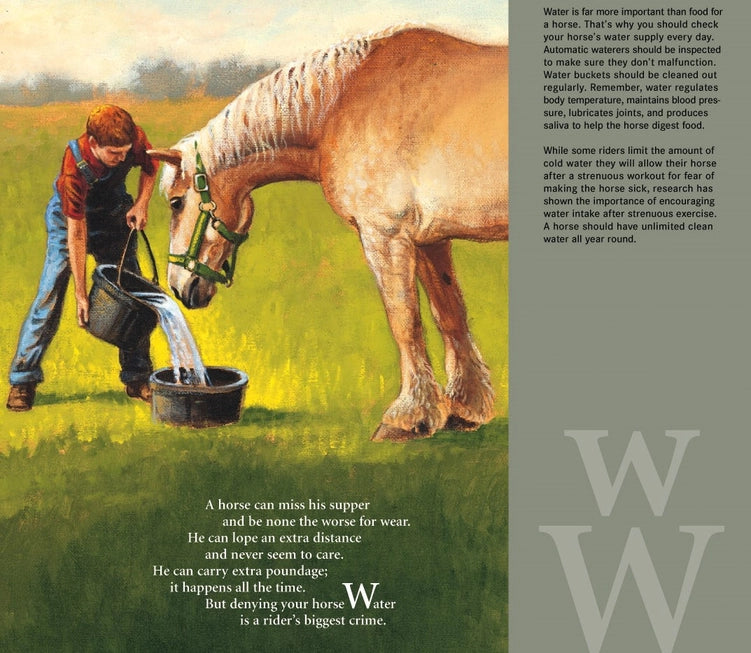 H Is For Horse: An Equestrian Alphabet Picture Book