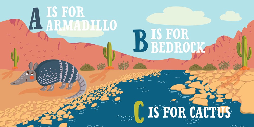 D is for Desert Board Book