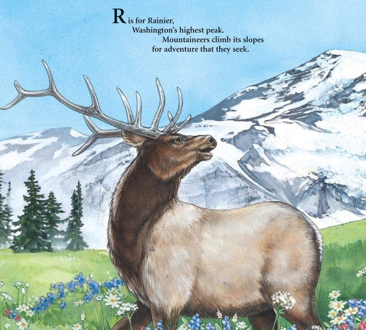 E Is For Evergreen Picture Book: A Washington State Alphabet