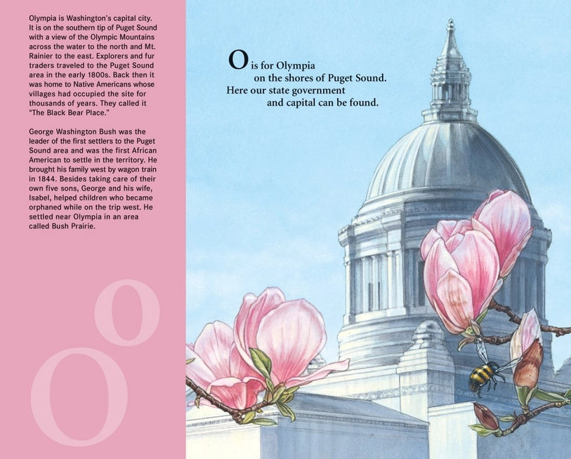E Is For Evergreen Picture Book: A Washington State Alphabet
