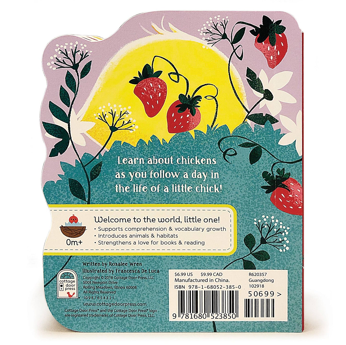 A Little Chick Board Book