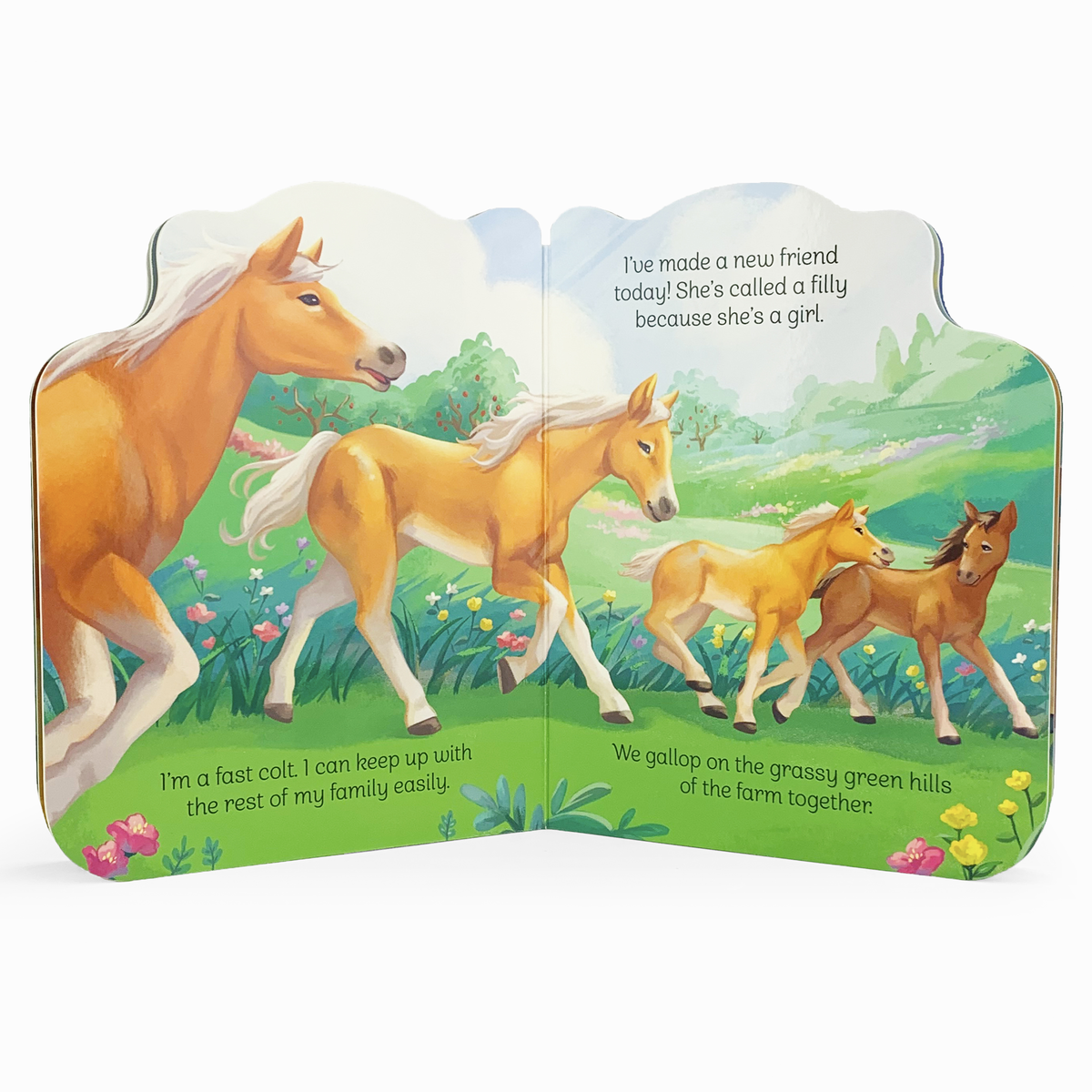 A Little Colt Board Book