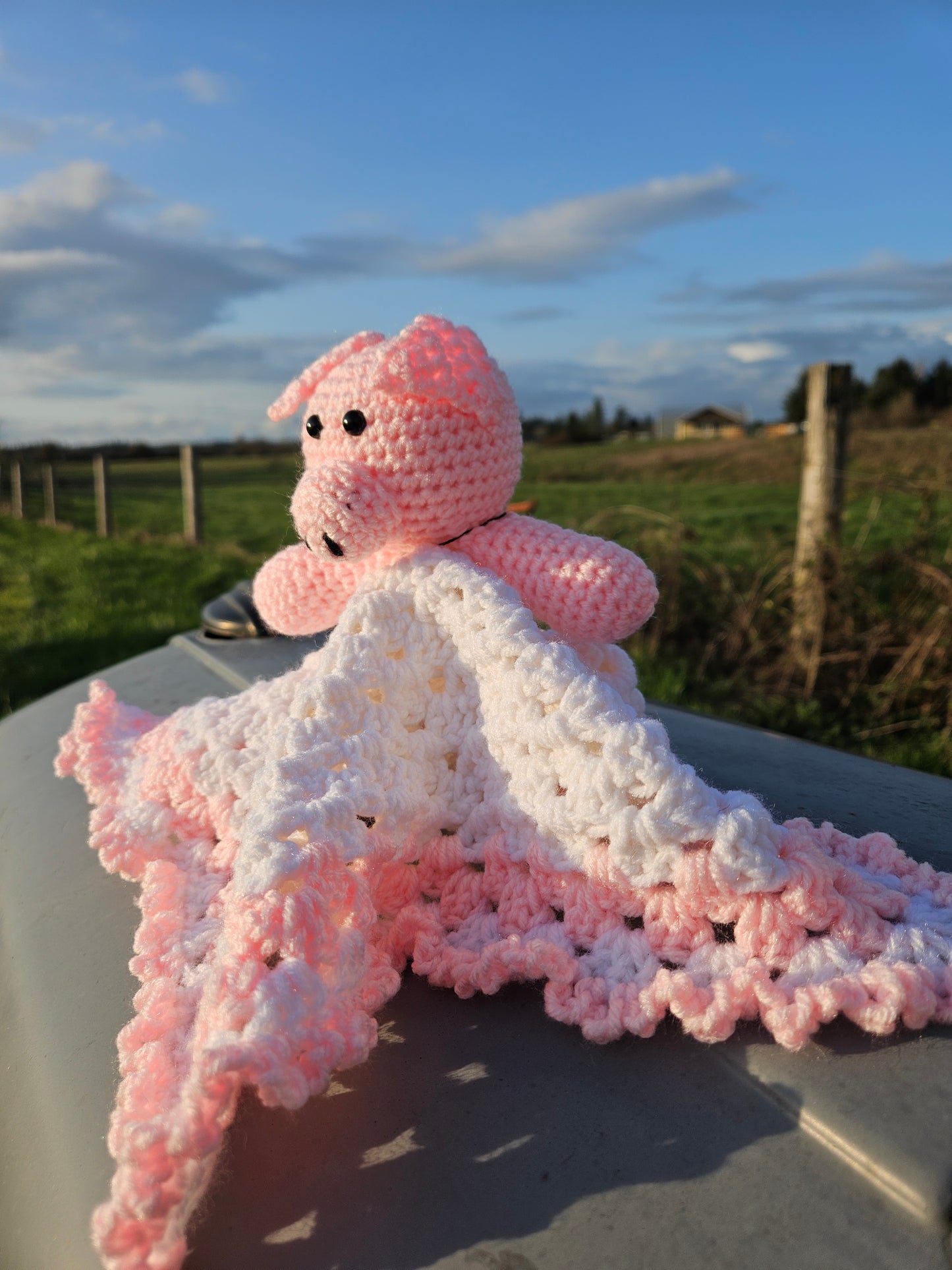 Crochet Pig Lovey