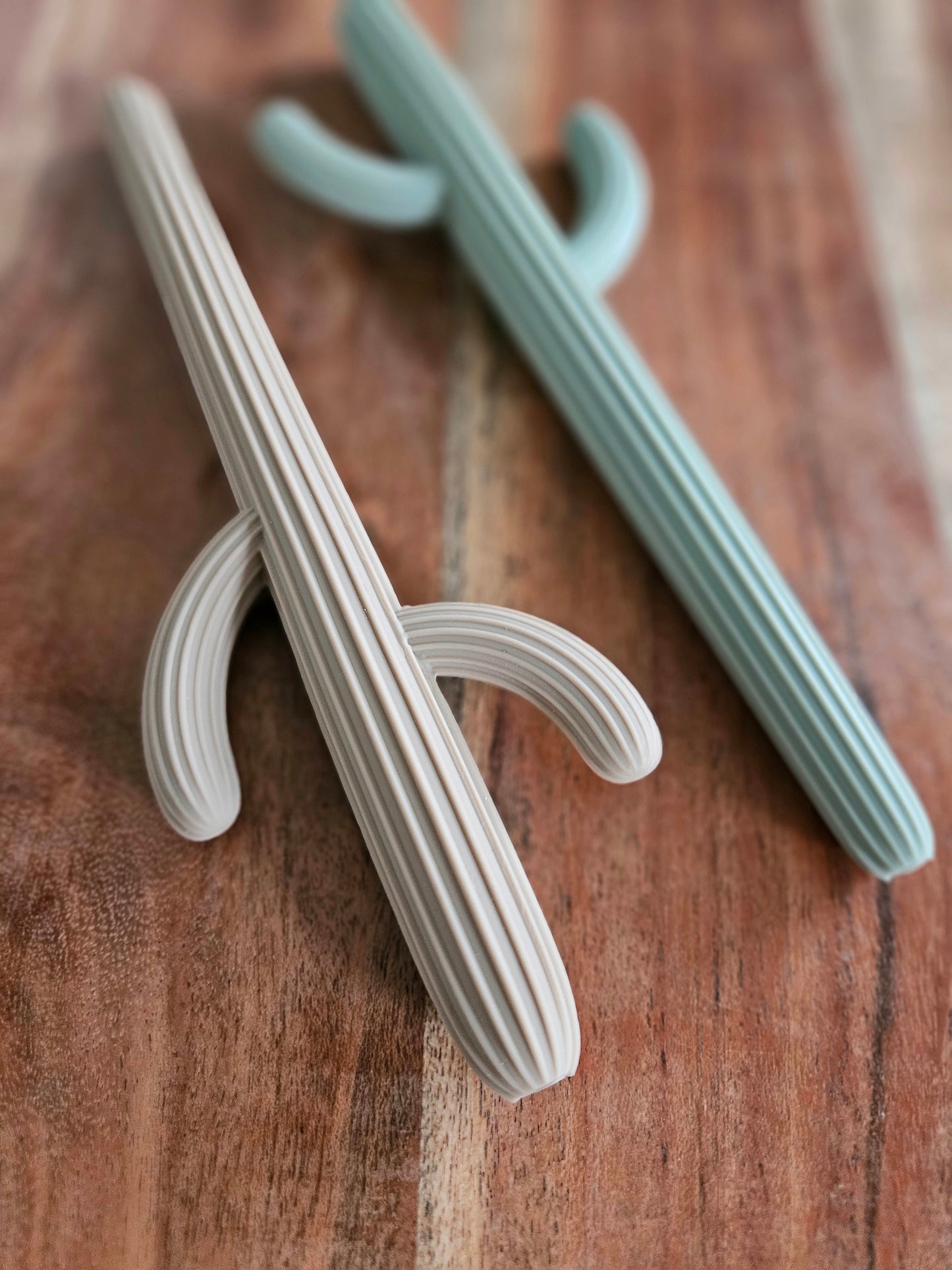 Cactus Silicone Teether
