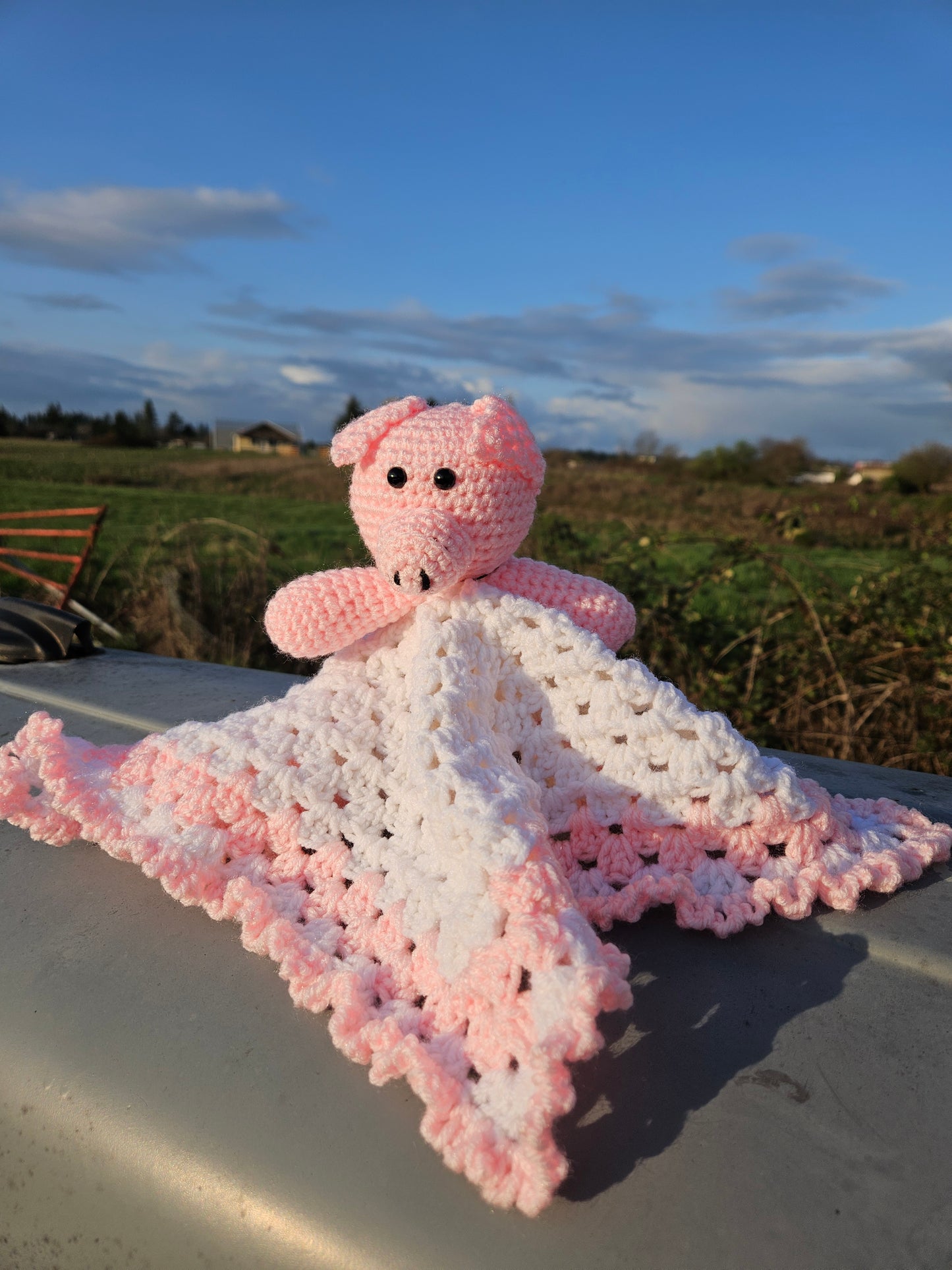 Crochet Pig Lovey