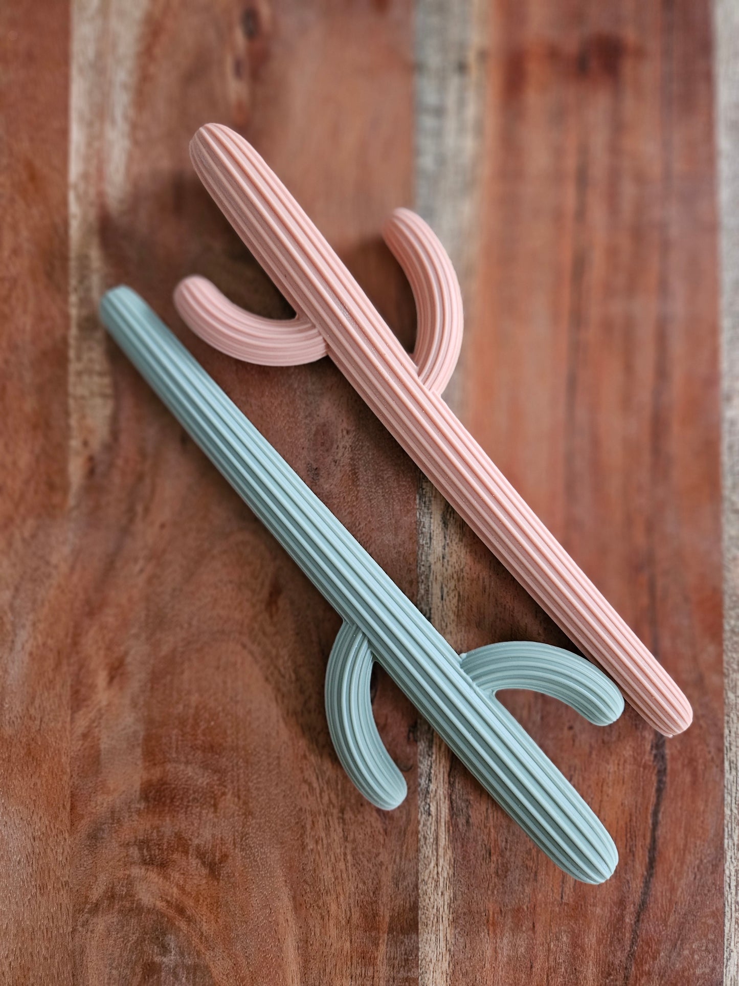 Cactus Silicone Teether