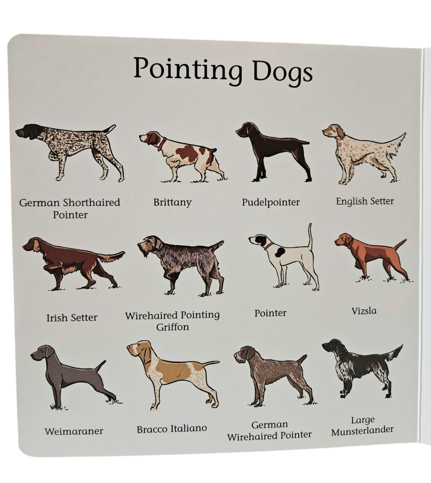 Bird Dogs Board Book