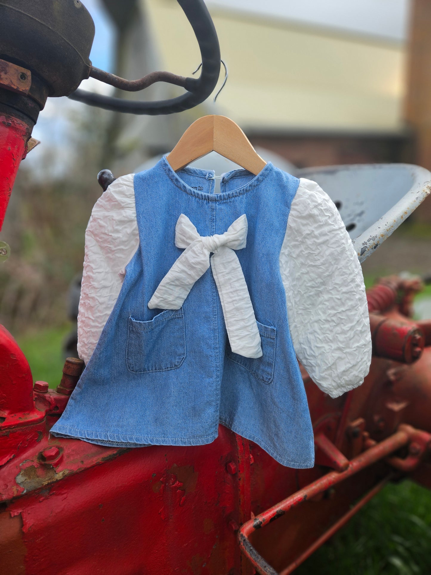 Jean & Crinkle Sleeve Dress
