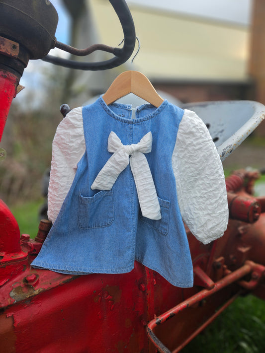 Jean & Crinkle Sleeve Dress
