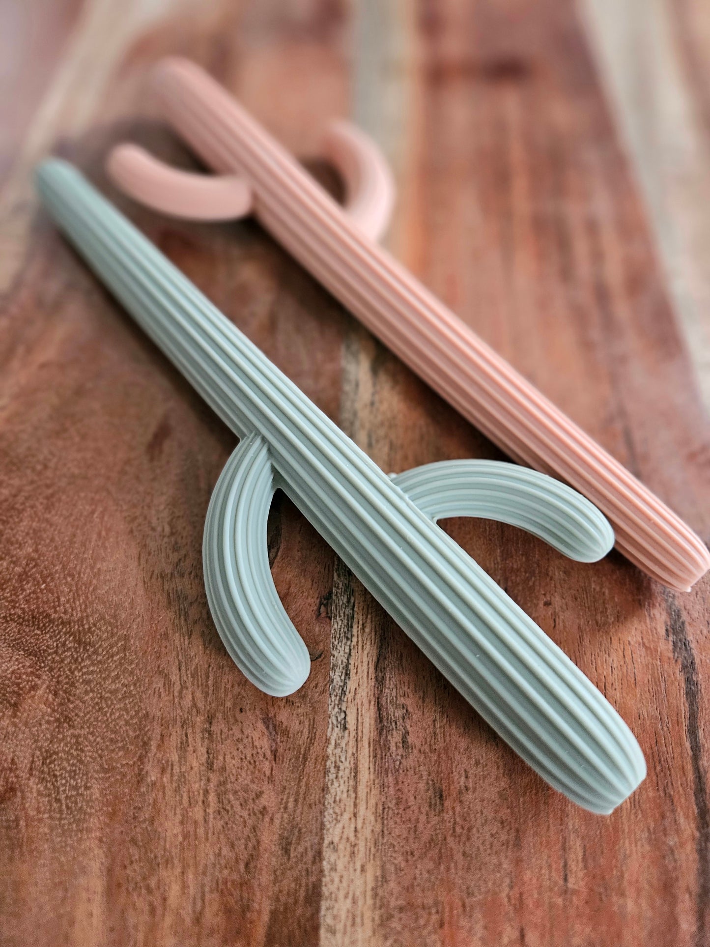 Cactus Silicone Teether
